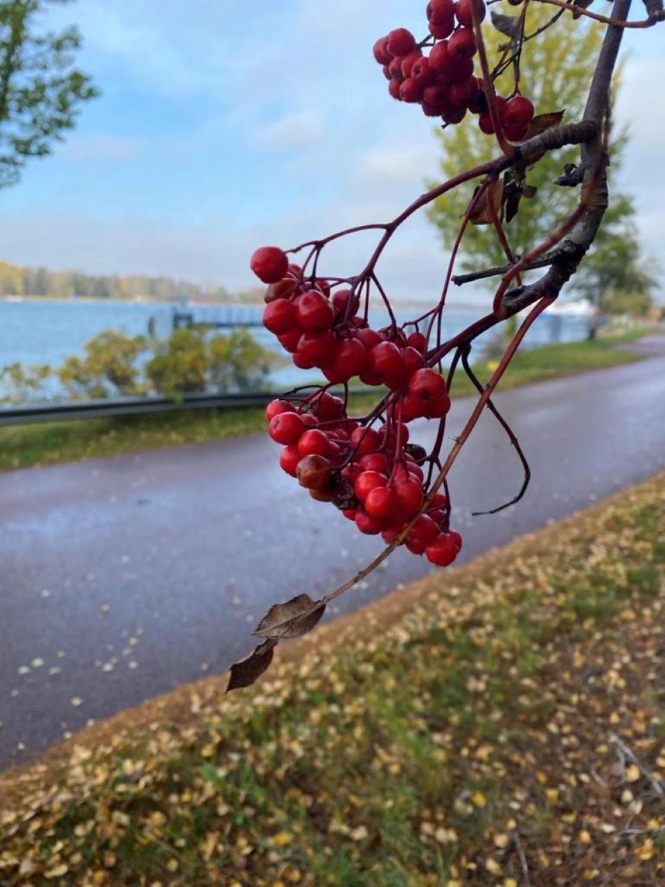 Trivsam Studio Mariehamn Exteriör bild